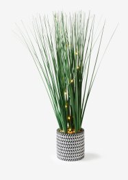LED umělá rostlina v keramickém květináči, bpc living bonprix collection
