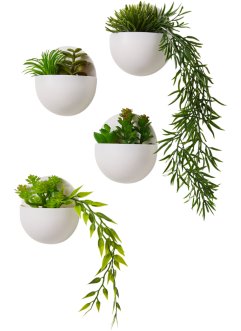 Umělá rostlina sukulent k zavěšení (4dílná souprava), bpc living bonprix collection