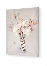Obraz Motýli s LED žárovkami, bpc living bonprix collection