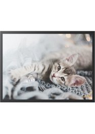 Rohožka s motivem roztomilých koček, bpc living bonprix collection