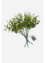 LED umělá rostlina eukalyptus (3 ks v balení), bpc living bonprix collection