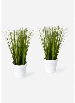 Umělá rostlina s dekorativními travinami (2 ks v balení), bpc living bonprix collection