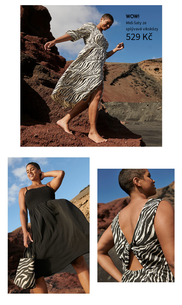 Zebra x colour >